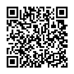 杨辰望了眼身边已经脸红地快滴出汁来的赵红燕二维码生成