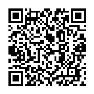 杨辰看到林若溪握住李菁菁的手说了许多亲热的话语二维码生成