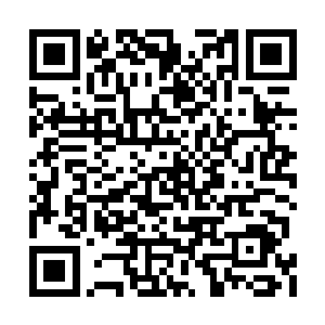 杨辰立刻想到给林若溪和家里的王妈也打个电话二维码生成