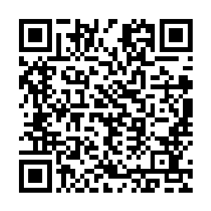 杨辰跟着林若溪在一家政府招待专用的酒店里吃了午餐二维码生成