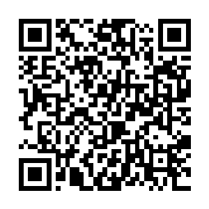 杨辰身后竟然还跟着进来一个国色天香的古装大美人二维码生成