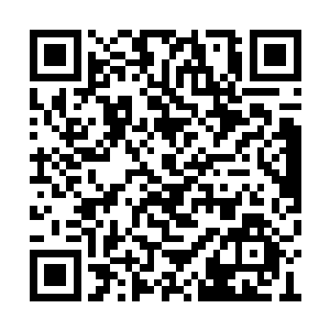 杨锐也不能无视庞校长的警告质疑继续这项实验二维码生成