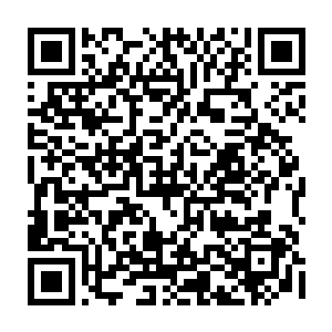 杨锐在遗传工程学方面的实力遗传工程学实验室的经费大头还没有着落呢二维码生成