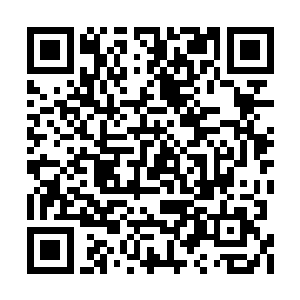 杨锐赚取的稿费用来买了国债的传闻也流传甚广二维码生成