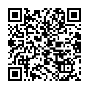 杨风一直觉得那串项链真正的威力还没有被自己发挥出来二维码生成