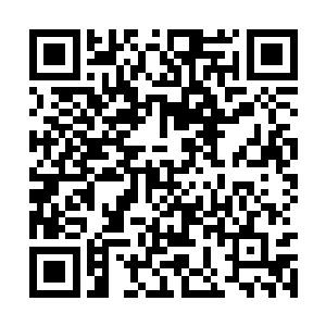 杨风估摸着这最后一道天劫的酝酿得需要一段时间二维码生成