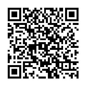 杨风倒感觉到这种净化之光反而让自己非常的舒服二维码生成