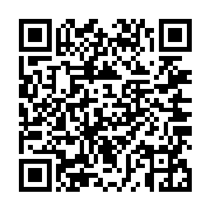 杨风几个看毛小驴的反应就觉得应该有什么事情发生了二维码生成