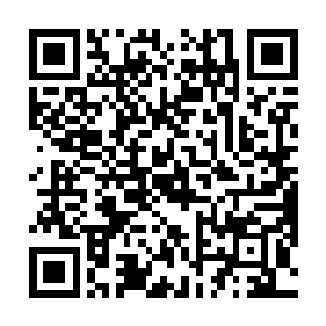 杨风和司马晴都是将他们自己的状态调到了最强的状态二维码生成