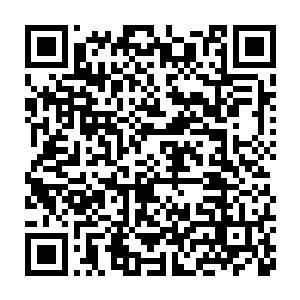 杨风和欧阳若兰紧接着商定了一番对付向天明和幻盟大长老的办法二维码生成