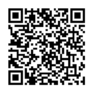杨风在俩只的时候都没有想过自己能够炼制出来三颗二维码生成