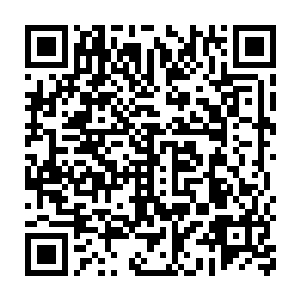 杨风有种感觉北宫寒手里面的九重冰天神枪有可能将焚帝塔给破了二维码生成