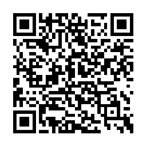 杨风根本就没有从这些老鼠的眼神当中看到恐惧二维码生成