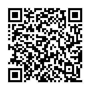 杨风的手里面出现了一颗洁白的犹如心脏的神玉二维码生成