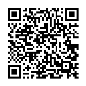 杨风的火系分身带着黑夫人几个人来到了白色沙漠当中二维码生成