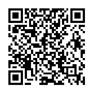 杨风紧接着就将未来丹药的一些条件告诉了欧阳若兰二维码生成
