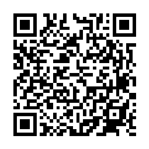 杨风迅速的用混沌之火将索菲亚从地心神焰里面拉了出来二维码生成