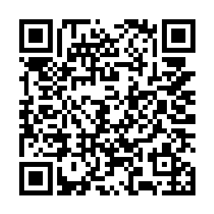 杨风还就真的觉得那幻化出来的杨柔和杨林就是本人呢二维码生成