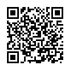 杨风还真的是第一次碰到这样的闪电二维码生成