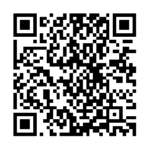 杨风还觉得对方接下来直接的给自己说到底什么是未来的火焰呢二维码生成