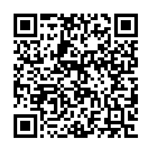 杰哥可是不仅能打而且还认识市公安局副局长呢二维码生成