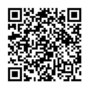 杰拉本以为凭这个黑暗之心绝对可以将龙傲天炸死的二维码生成