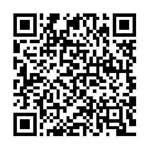 杰森的身上挂满了各种的线头和闪烁着红色光芒的小型追踪灯二维码生成