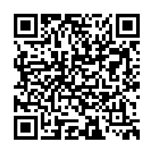 松了一口气的熊孩子也忍不住对着楚旬大笑一声二维码生成