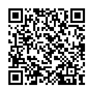 松口气的同时凌菲猛然发现不知不觉自己也变了二维码生成