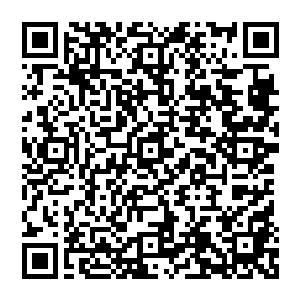 极强的制片能力建立起一种可以从制片到播出或放映都完全能够自给自足的的一条龙式产业链条二维码生成