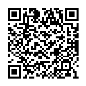 极端情况下吸收和掠夺他人血脉的事情也会发生二维码生成