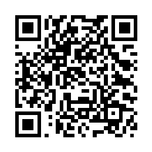 构成了极具视觉冲击力的奢华场景二维码生成