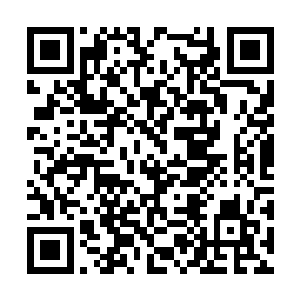 构筑成了一片方圆约有数千里大小的巨大空中浮城二维码生成