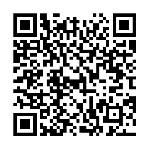 林中卿要专心维持防护罩的安全运行已经分身乏术……二维码生成