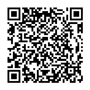 林光山立即找表弟要了他那个玩了一段时间后就不玩的大菠萝3账号登陆了二维码生成