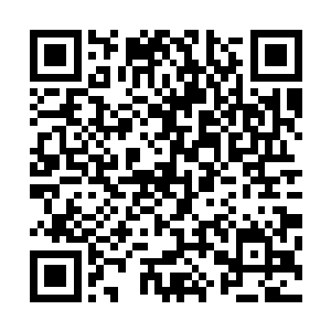 林媛媛也不知道从哪儿知道穆凌要带着老爷子去美国的消息二维码生成