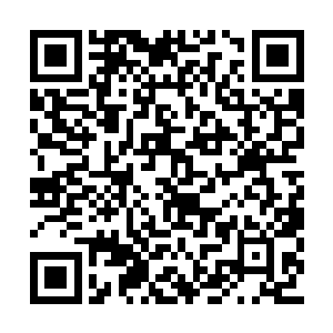 林嫂觉得这个叫跹跹的丫头身上具备着一种鲜少二维码生成