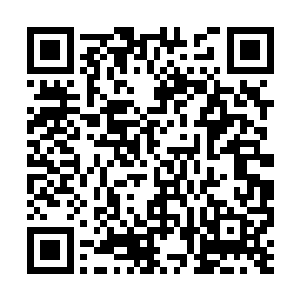 林封在基地外围盘旋了几圈都没有被任何敌人发现二维码生成