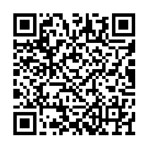 林封让飞机直接做了一个快有15g加速度的大回转二维码生成