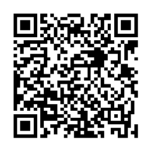 林封谨识海里面的那一颗只露出了五分之一的清晰的异卵二维码生成