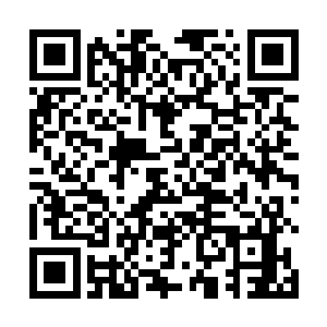 林小乖与魔都那边就只有和于小苗一家还保持着联系了二维码生成