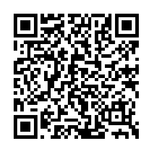 林小乖已经抱着一个圆圆的绿色小抱枕睡的香了二维码生成