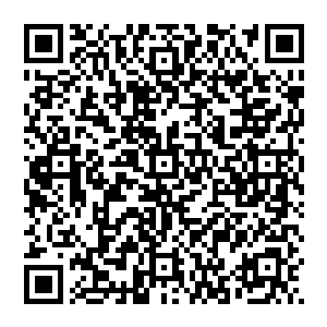 林小乖无语地看着吐奶吐得衣襟上一塌糊涂的思思和不断把各种东西放到小春风面前让他搞破坏的小太阳二维码生成