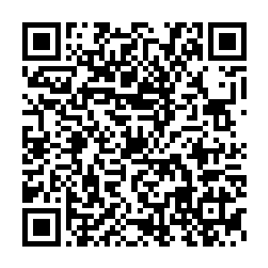 林慧宁带着年轻人们满带揶揄的鼓掌欢迎了神龙见首不见尾的老板二维码生成