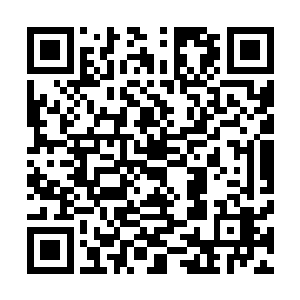 林放也就更加的有信心在接下來的时间里成功的打败罗城府二维码生成