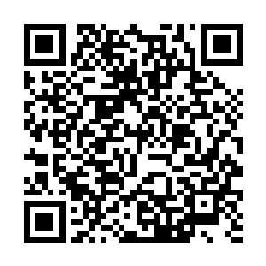 林氏被自己心中不时浮现出来的念头给惊得六神无主二维码生成