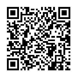 林浣溪即要忙着中医公会的事情又要忙着浣溪大厦的建设进度二维码生成