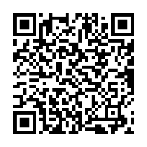 林烽也听到了这些新生们对自己的议论和不服气的看法二维码生成