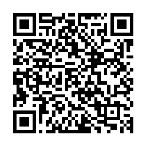 林烽和母亲一起将差不多五十道菜端到了一楼的客厅的大桌子上二维码生成