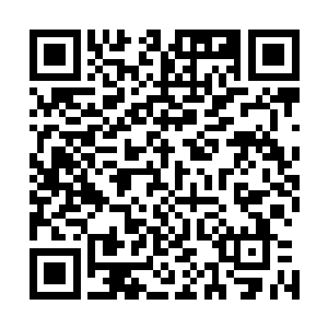 林烽已经隐约知道了埋在王雅君内心深处的那些痛苦根源了二维码生成